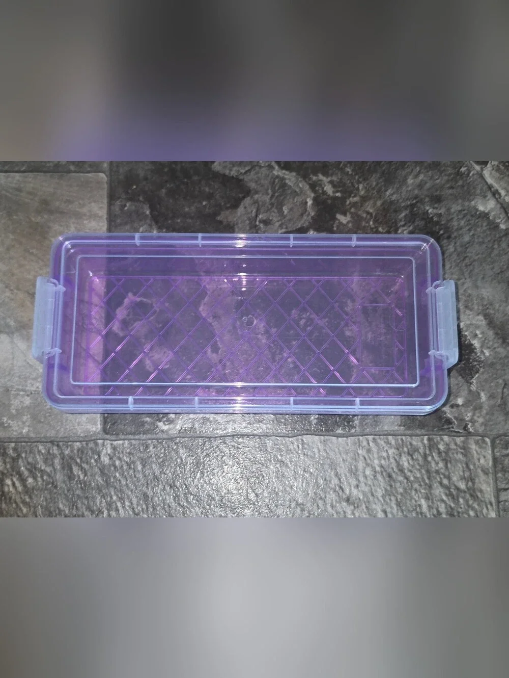 Rectangular Organzer with 2 Lock Containers in Purple BNIB